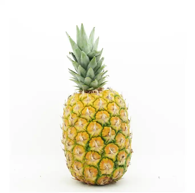 Piña Oro Miel